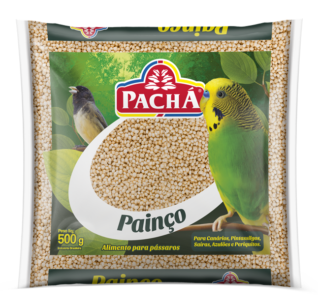 PAINCO PACHÁ 